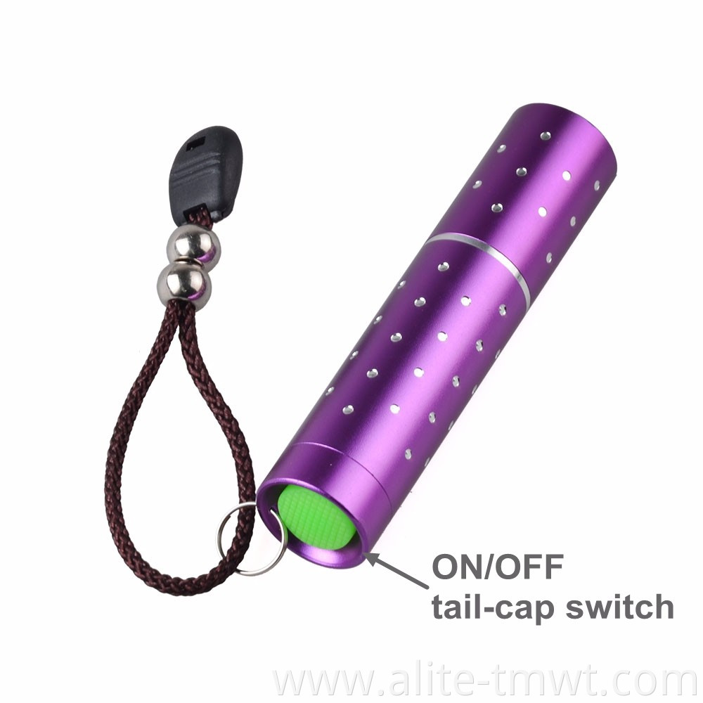 Mini Pocket Flashlight Torch Black Light LED Purple Light 365nm UV Lamp